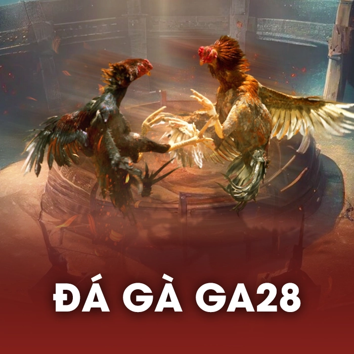 icon-dagaga28